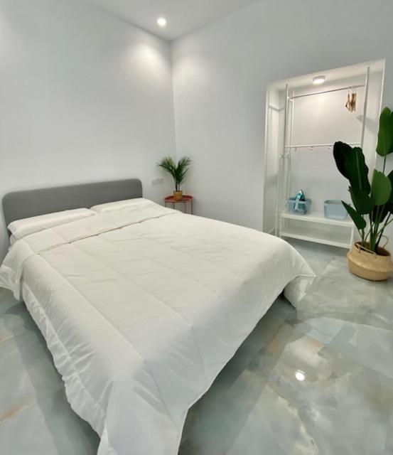 Apartamento Isasa コルドバ エクステリア 写真